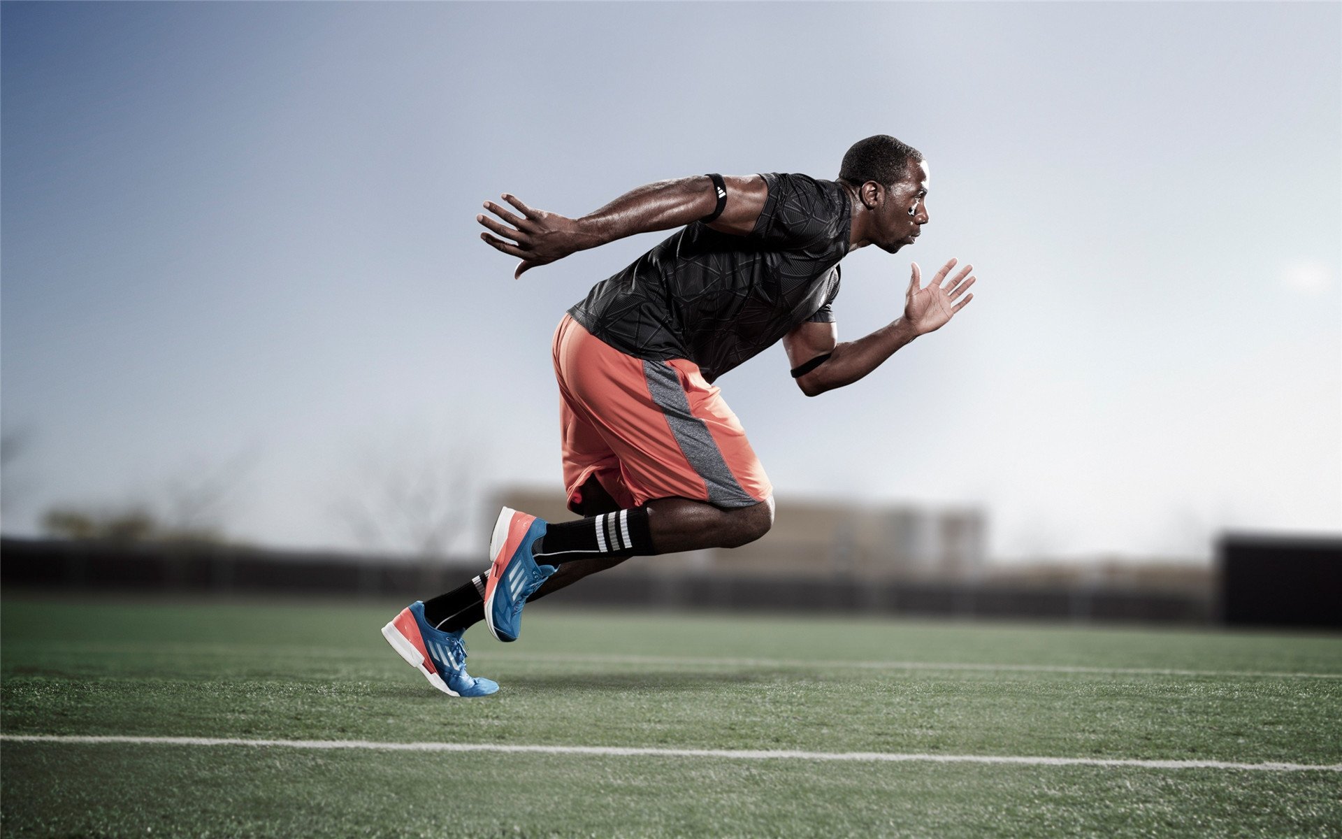 “裁判背后：那些鲜为人知的判罚内幕”，裁判被罚下